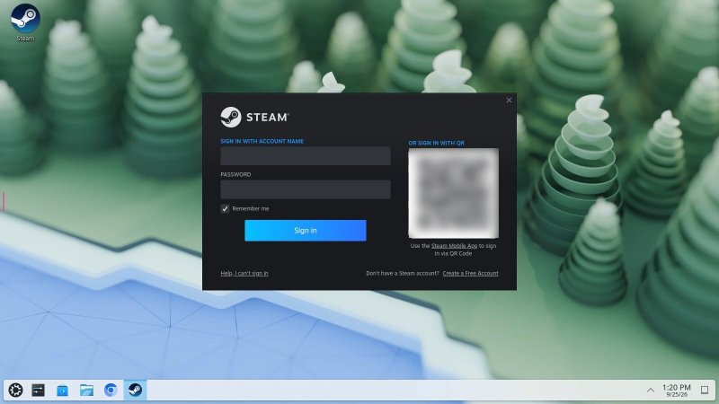 Steam sign in window in the Ubuntu KDE Webtop after typing steam