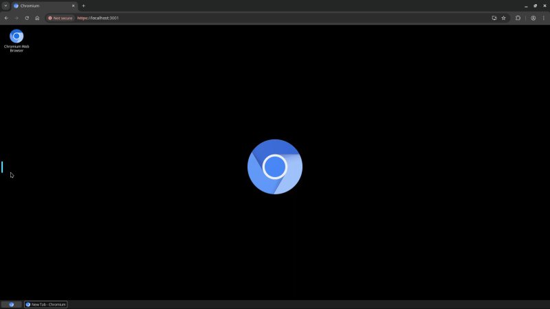 selkies-desktop-chromium